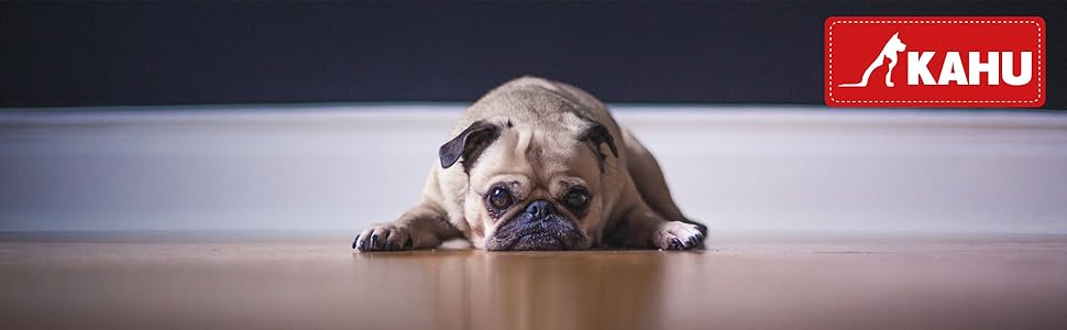 Кімоно® Складаний килимок для собак у подорожах (60x80 см) • Переносний килимок для собак • Подорожній килимок для собак у вигляді сумки • Лежанка для собак з собою • Килимок для собак, що стирається • Колір: Сірий