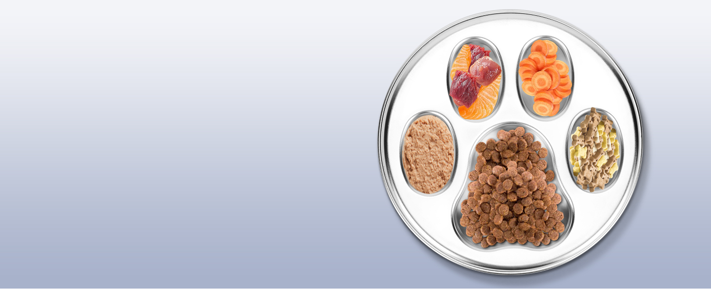 PETTOM Миска для собак протиковтання, нержавіюча сталь, Ø21 см, велика, повільне годування 21*21*4 см