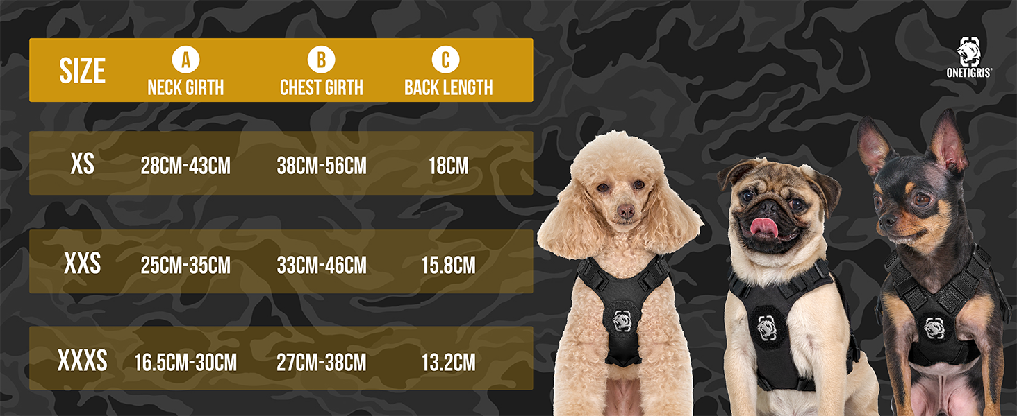 Нашийник для собак OneTigris MINI Trooper, оранжевий, XXXS, з повідком 150 см, 2 положення для буксирування