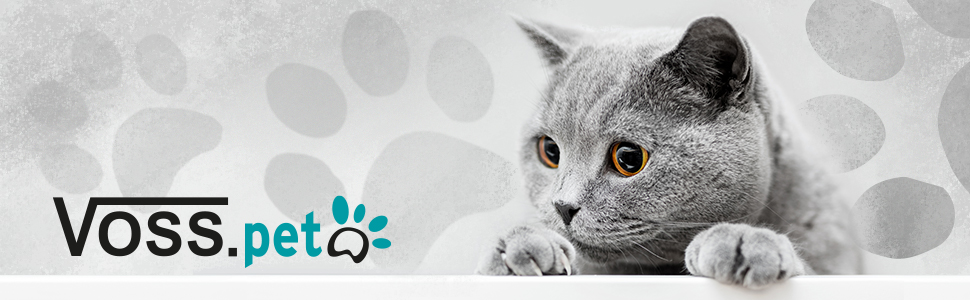 ВАЛЕНТИНА. ПЕТ альпіністський ландшафт 'cat Fun для кішок