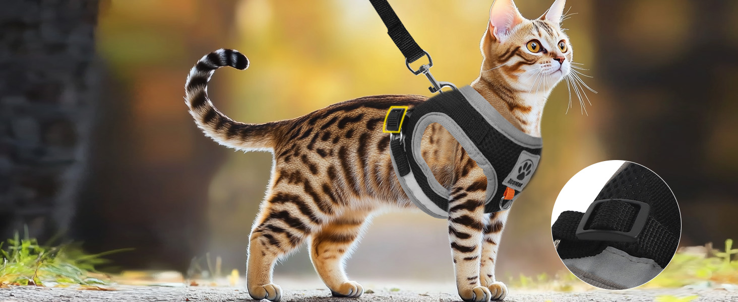 Нашийник для кота Bindokun з повідком, антивитік, комплект, чорний, S