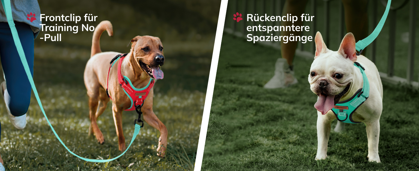 Шлейка для собак FAYOGOO з переднім кріпленням, не тягне, регульована, м'яка, з підкладкою, для малих, середніх та великих собак, синього кольору (S)