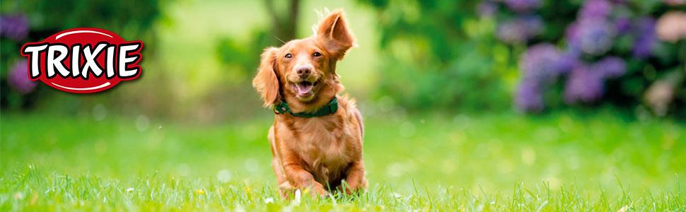 Тунель для аджиліті TRIXIE для собак - для тренувань аджиліті, великі породи, для початківців та досвідчених, з сумкою для транспортування, блакитний, 1 шт.