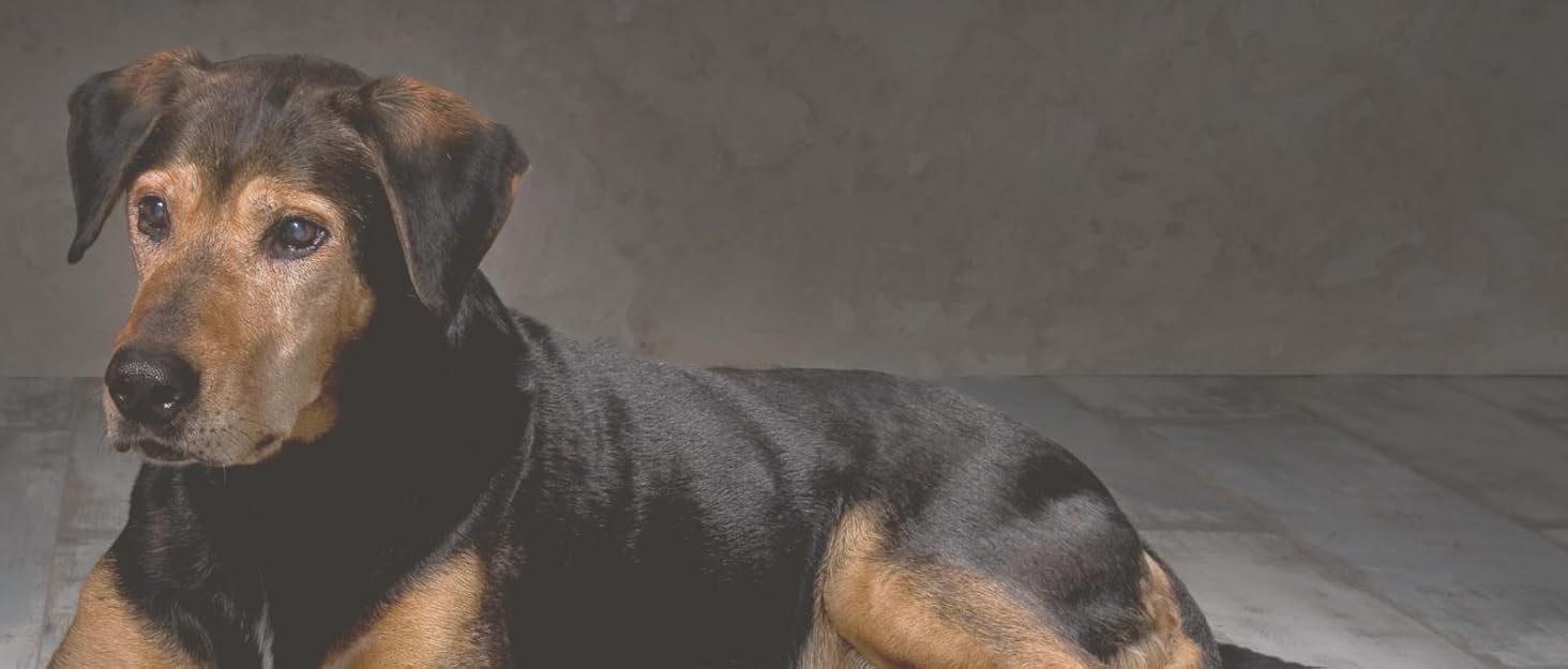 Килимок для собак Werner Christ з натуральної овечої вовни, 100 x 80 см, коричневий