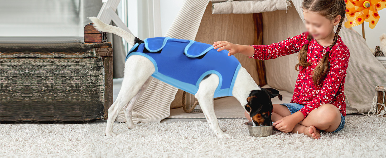 Піжама для собак після операції ASENKU: захист від лизання, альтернатива конусу, рожева, M