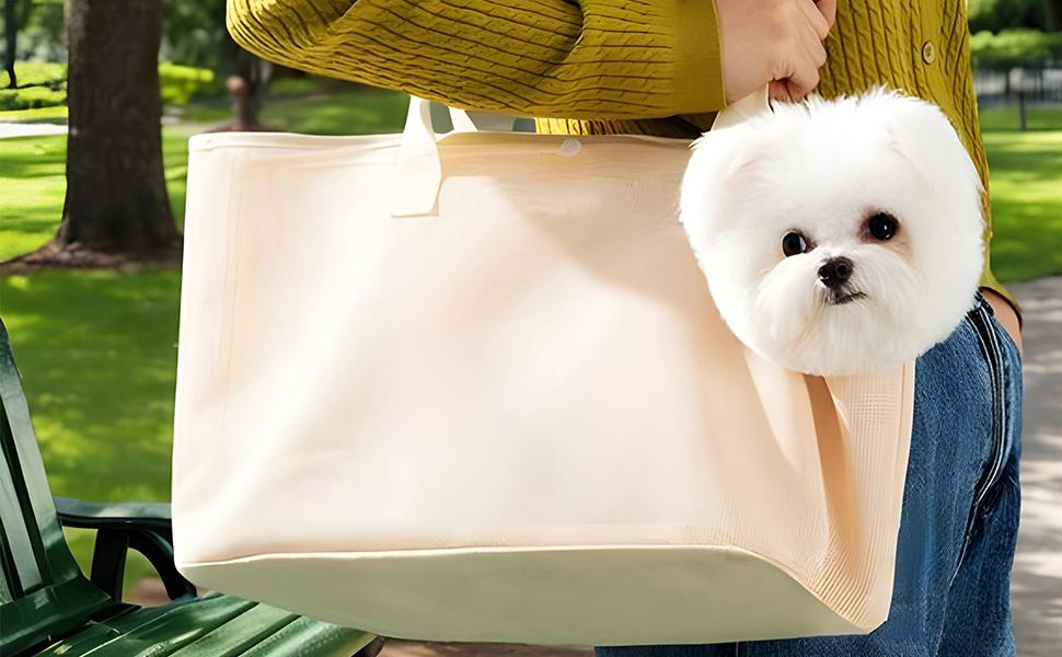 Транспортна сумка для собак і котів - переноска для маленьких собак та кошенят з дихаючою сіткою