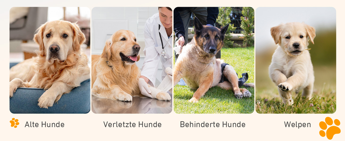 Східці для собак Hunderampe - складані, портативні, з антиковзким покриттям, для автомобілів, SUV та вантажівок (170x44 см)