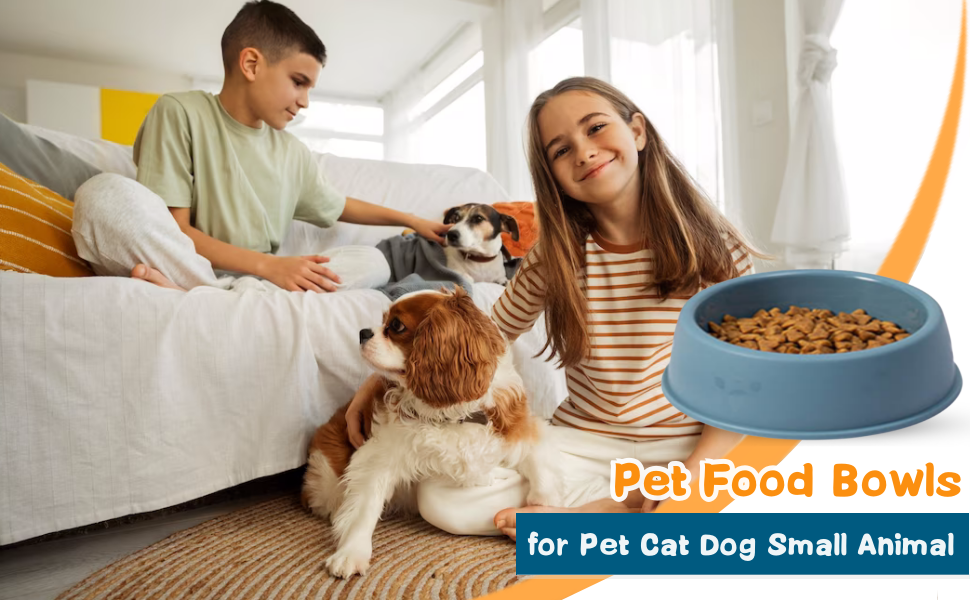 Набір мисок для котів (4 шт.) з пластику, для котів та дрібних тварин