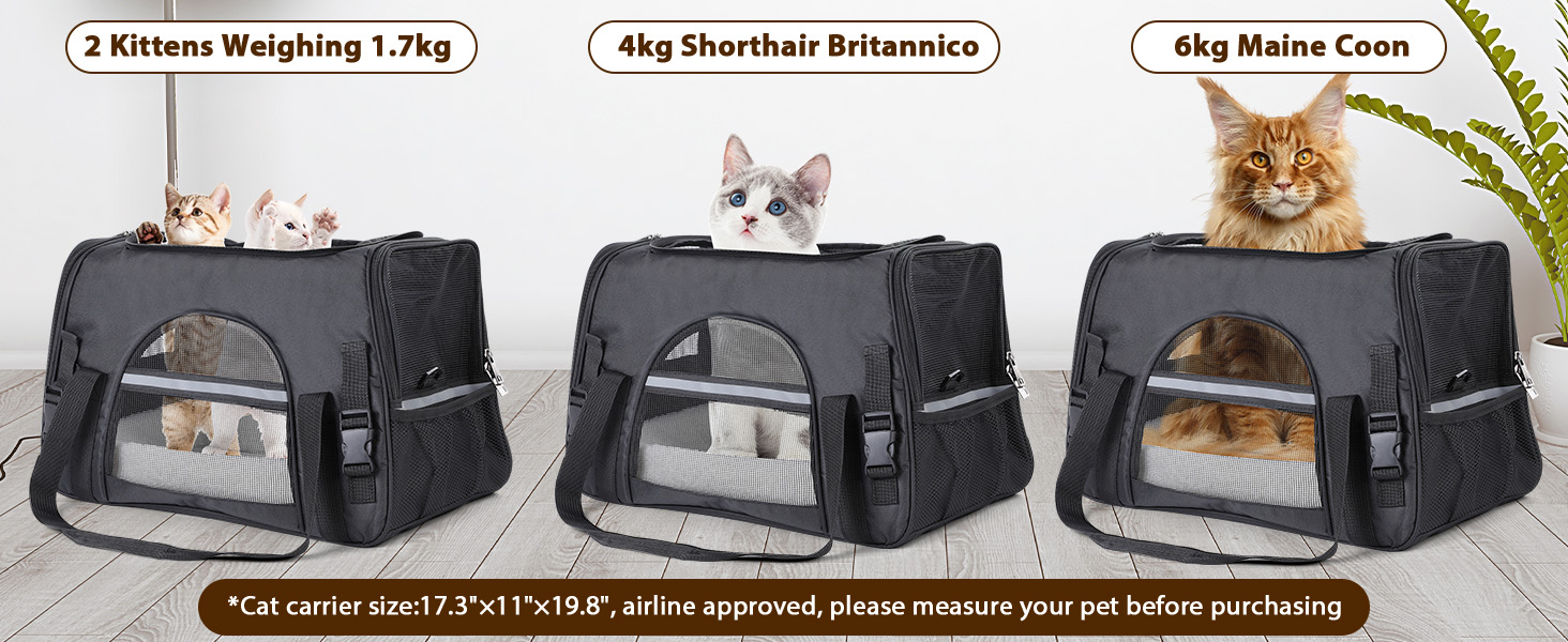 Транспортний бокс для котів Romon: переноска для тварин, переноска для котів, сумка-переноска для котів та цуценят до 6 кг, з регульованим плечовим ременем