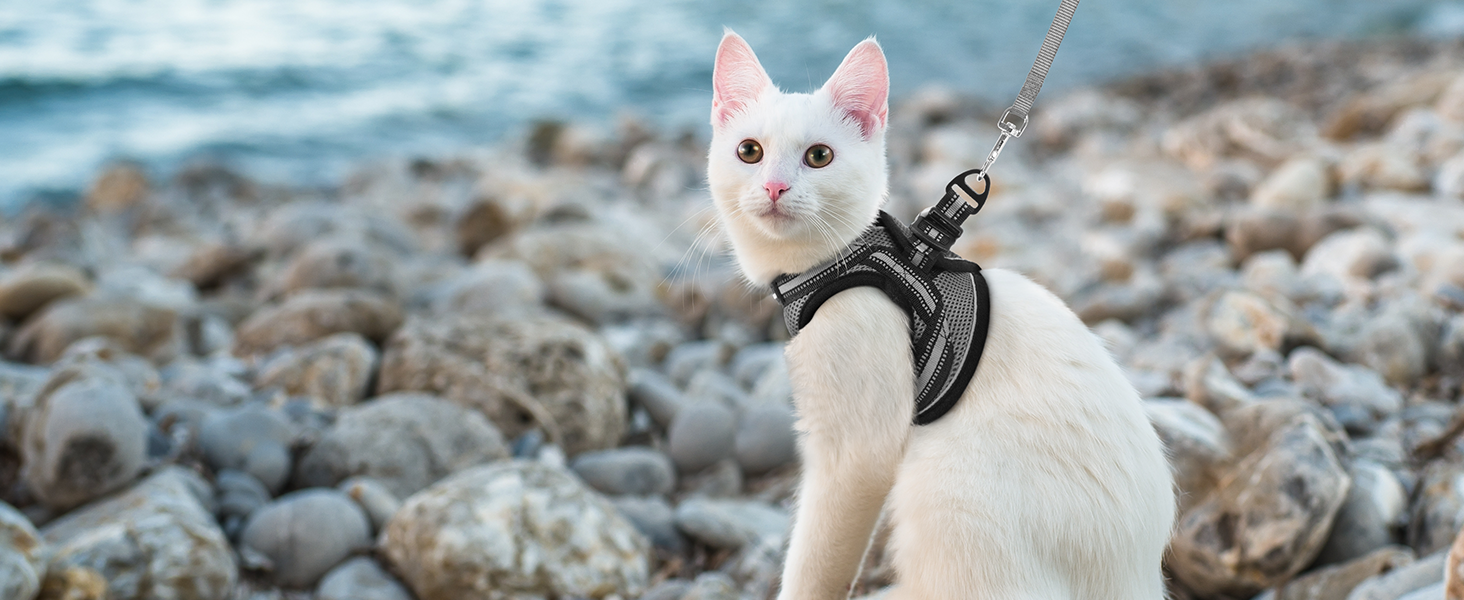 Нашийник та поводок для котів Rabbitgoo - безпечний, регульований, з відбиваючими смугами, сірий, M