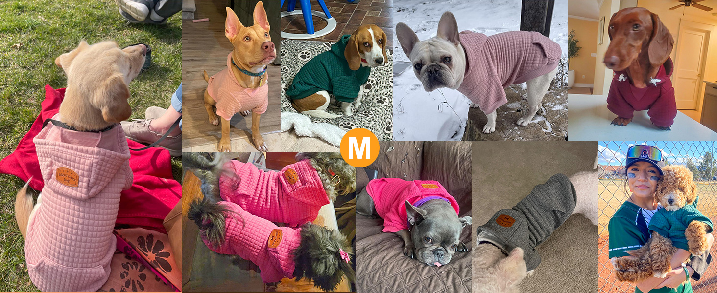 Теплий пуховик з капюшоном для собак середніх та маленьких порід від BEAUTYZOO, рожевий, з кишенями