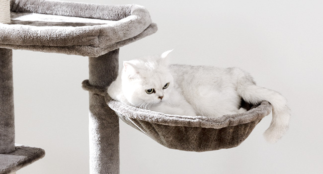Котяче дерево з тумбою для лотка, 2-в-1, 150 см