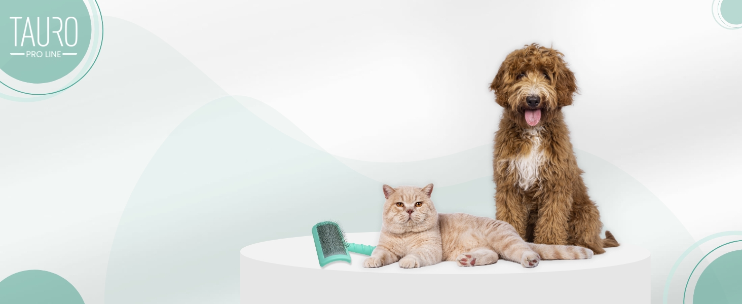 Щітка для собак та котів Classic Brush - якісна щітка з м'якою подушечкою та неслизькою ручкою | Mint, 10,5 x 6,5 см