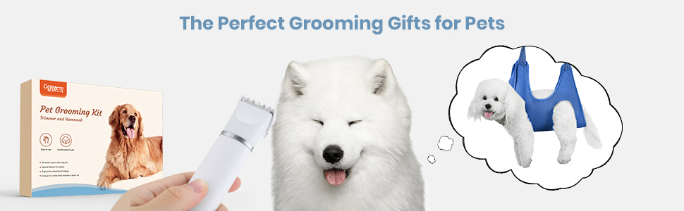 Набір для стрижки котів Leise: професійна машинка для стрижки котів, собак, набір для догляду за лапами, очима, вухами та обличчям. USB-C зарядка.