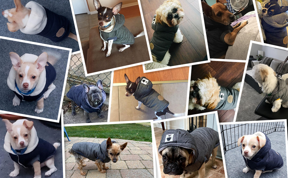 Зимова куртка для собак маленьких порід Ranphy з капюшоном, тепла флісова підкладка, бавовняний халат для домашніх тварин, вітронепроникна куртка, капюшонна куртка для котів, сірий L (Обхват грудей: 42 см), сірий