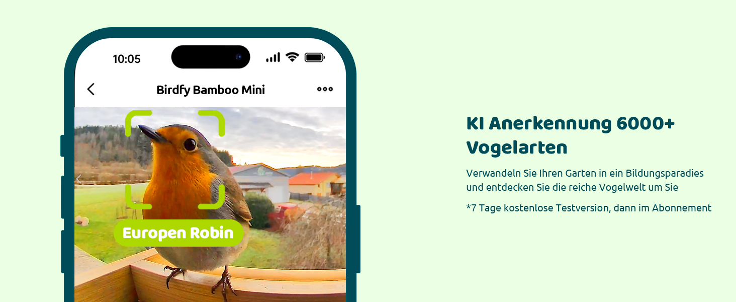 NETVUE Birdfy бамбуковий міні годівничка з камерою для спостереження за птахами, сонячна батарея, автоматичний запис, сповіщення в додатку