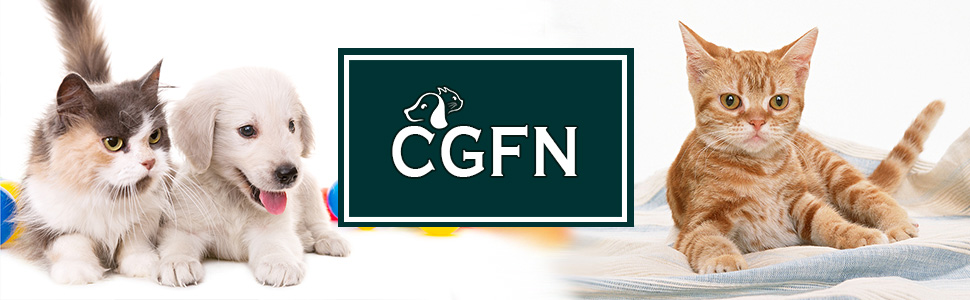 Станція для годування CGFN з іменем, персоналізований миска для собак з нержавіючої сталі, бамбук, підходить для маленьких та середніх порід, 2 миски