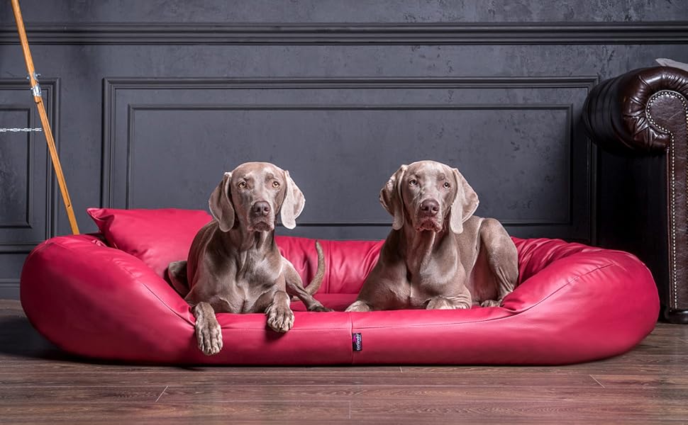 Ортопедичне ліжко для собак Tierlando® Sammy з віскоеластичним матрацом та високим бортиком з міцного поліестеру. Розмір: 140x105 см, колір: графіт. Забезпечує комфортний та суглобово-захисний сон.