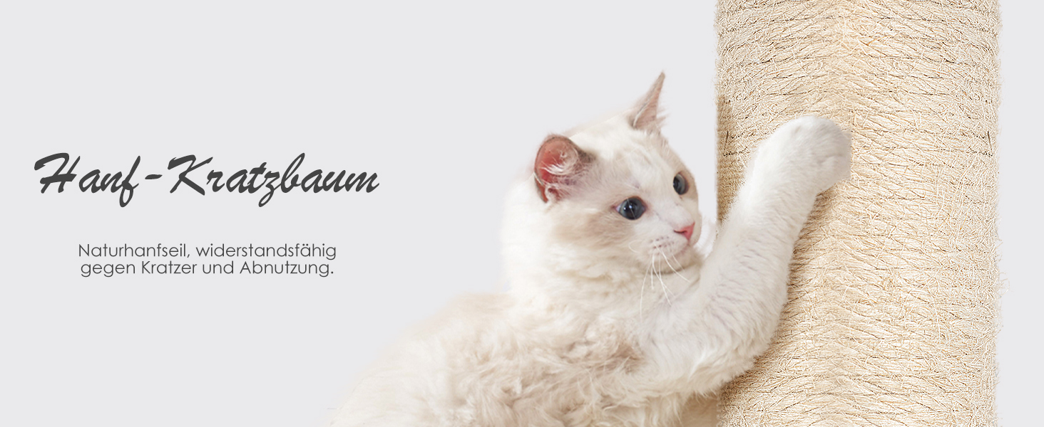 Кімната для кота на стіні Eukue: комплекс з 10 елементів з когтеточками, будиночком та мостом (до 10 кг)