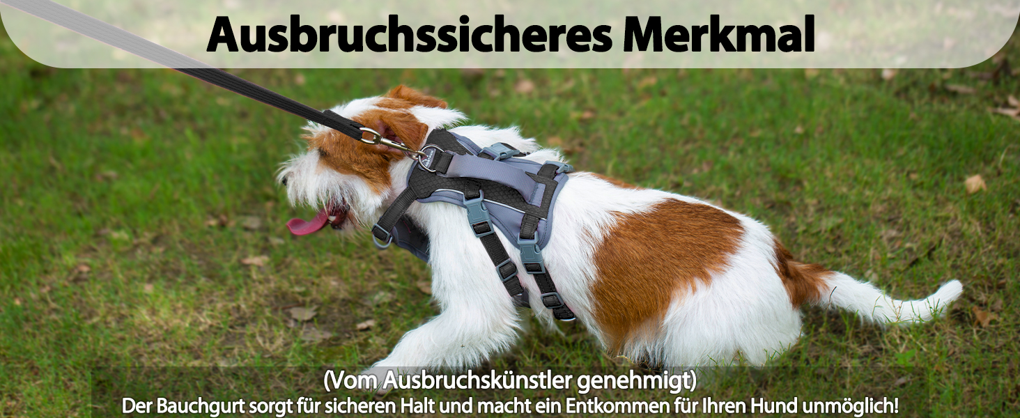 Шлейка Huntboo для собак - запобігання вириванню, шлейка від паніки, світловідбиваюча шлейка з ручкою, регульована шлейка для собак маленьких, середніх та великих порід (Чорний, S)