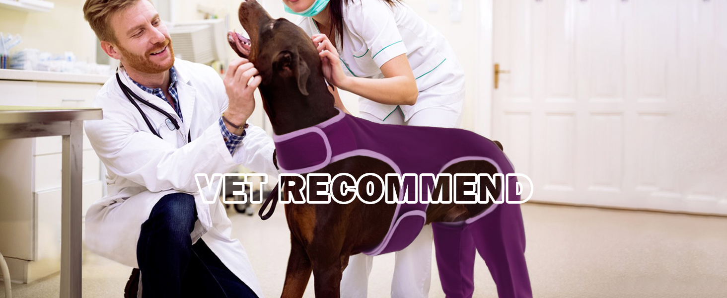 Комбінезон для собак після операції на ногах, захист від витікання, запобігає інфекціям, розмір XL, фіолетовий