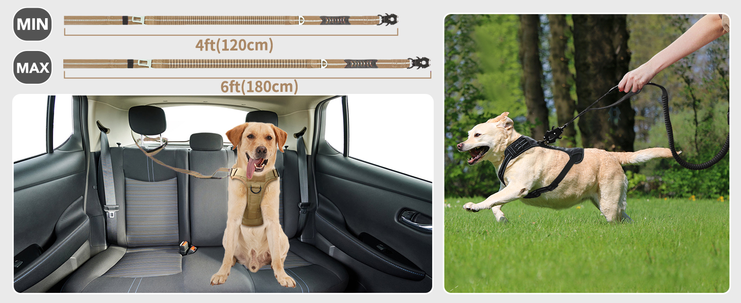 Тактична повідок для собак Joytale, 1.2м-1.8м, еластична (bungee), з 2 м'якими ручками, автофіксатор, без натягу для собак середніх, великих та екстра-великих порід, помаранчевий колір