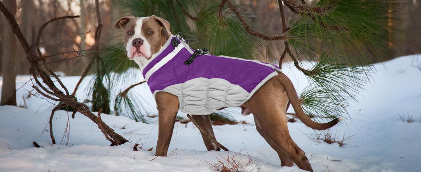 Теплий зимовий одяг для собак PUMYPOREITY: жилет для маленьких собак та цуценят, колір фіолетовий, розмір XS