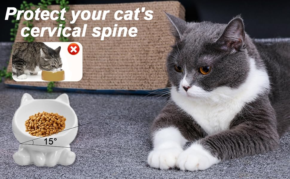 Миска для кота з кераміки, піднята, протиковзна, 15° нахил, для корму та води, підходить для котів та кошенят (біла)