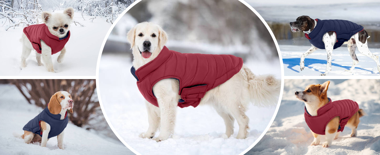 Зимовий теплий водонепроникний одяг для собак великих порід Lelepet, червоний XL