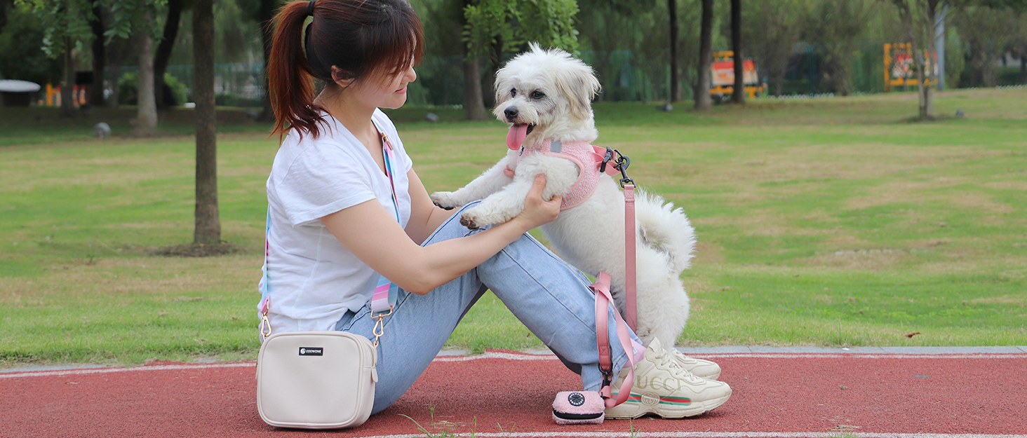 Лекарська сумка для собак, поясна сумка для аксесуарів, мішок для ласощів з дозатором кульок для вигулу, прогулянок та дресирування (Сірий, з 1 повідком)