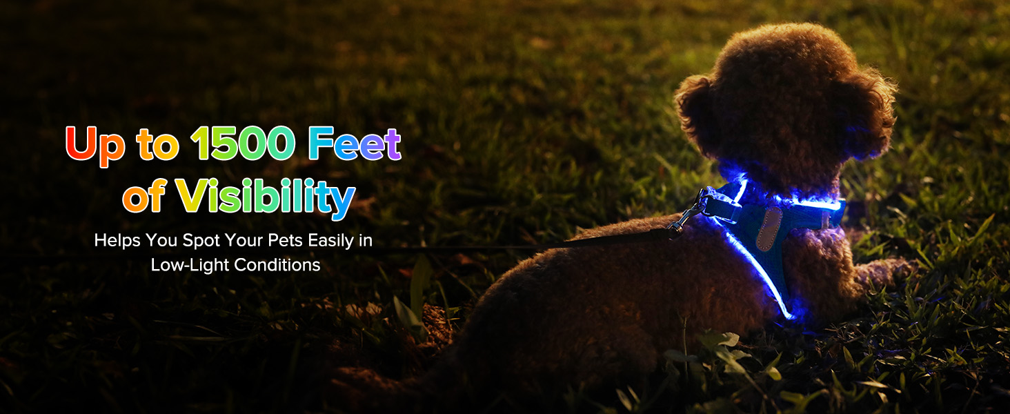 Світлодіодне шлейка для собак Feycig з LED підсвічуванням, перезаряджувана, для цуценят та собак середніх розмірів, дихаюча, синього кольору (Large)