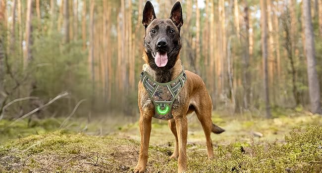 Тактичне обіднє нашийник для собак HEELE, MOLLE, камуфляжний, зелений, для службових собак