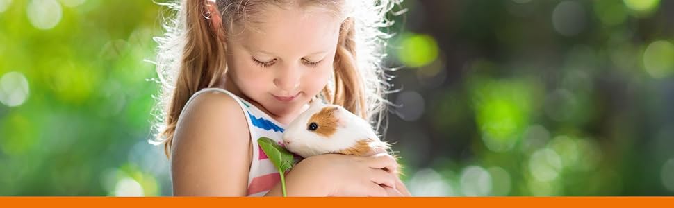 Транспортний бокс для тварин Karlie Transportbox Pet Shuttle L: 25x19x18 см, червоний (10x5x10 см)