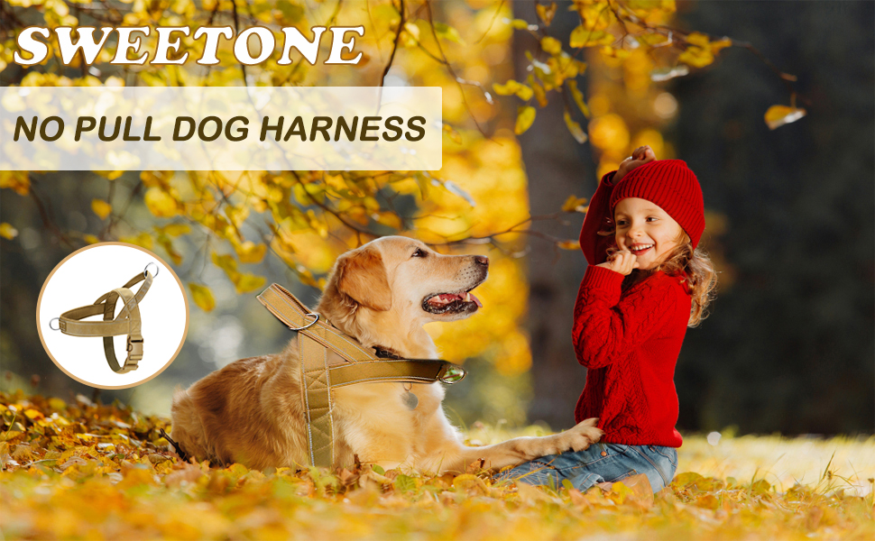 Шлейка для собак, антинатяжна, світловідбиваюча, для середніх та великих собак, регульована, м'яка, дихаюча, для прогулянок та бігу (L), Style1-L