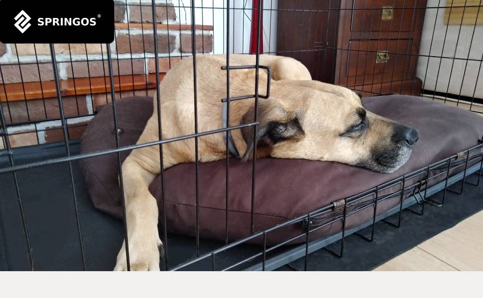 Клітка для гризунів SPRINGOS з двома дверцятами, 60 x 50 x 42 см