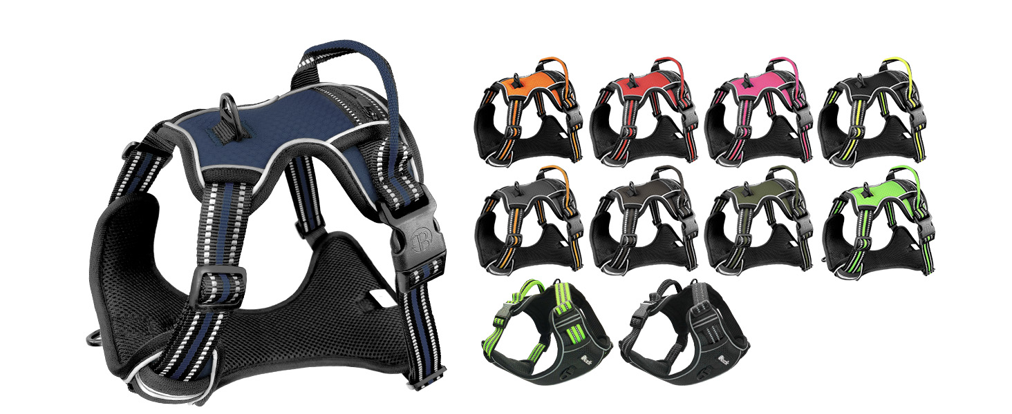 Шлейка для собак середніх порід Bluzelle з ручкою та кишенею для GPS-трекера, світловідбиваюча, зелена (XS, синій)