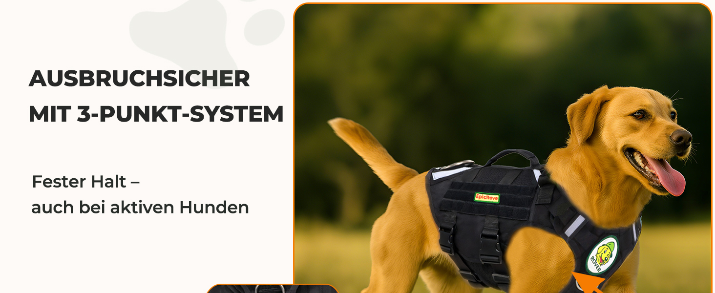 Шлейка для собак EpicRove RoveVest Air, чорна, L – легка, дихаюча, регульована, для прогулянок та активного відпочинку