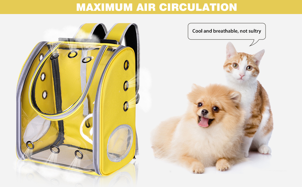 Рюкзак для собак та котів PETCUTE, дихаючий, прозорий, з матрацом, для подорожей, дозволений авіакомпаніями