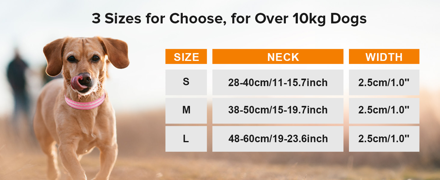 Світлодіодний нашийник для собак Leuchthalsband PcEoTllar, зарядний, 3 режими світіння, водонепроникний, регульований, для малих, середніх та великих собак, блакитний (TC5000), L (48-60 см)