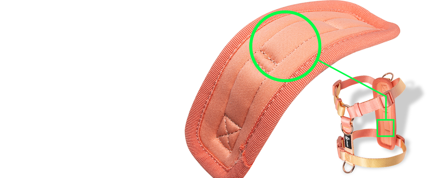 Нашийник для собак середніх порід TSPRO, не тягне, жовто-зелений градієнт, розмір 2 (40-70 см)