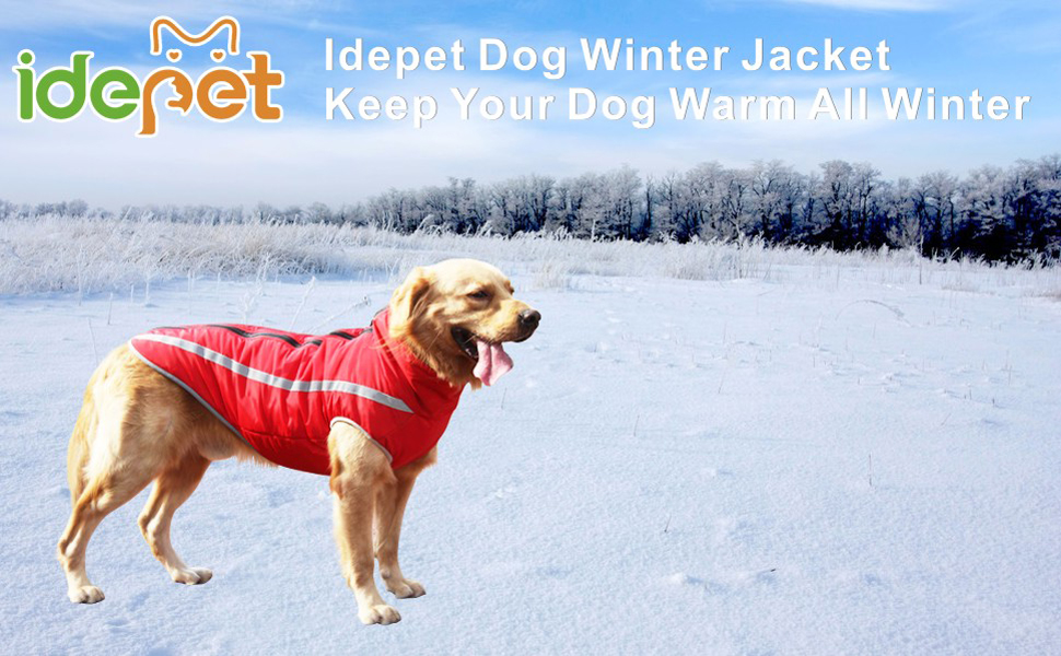 Водонепроникний зимовий дощовик для собак Idepet, тепла куртка, вітрозахисний одяг для собак, куртка для собак з отвором для шлейки, червоний XL-6XL, 3XL червоний