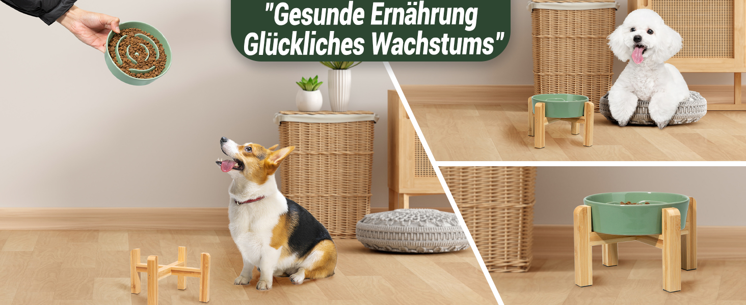 Миска для собак Antischlingnapf Keramik Erhöшена - керамічна миска для собак на бамбуковому підставці - миска для повільного годування - для маленьких та середніх собак - біла - діаметр 17 см