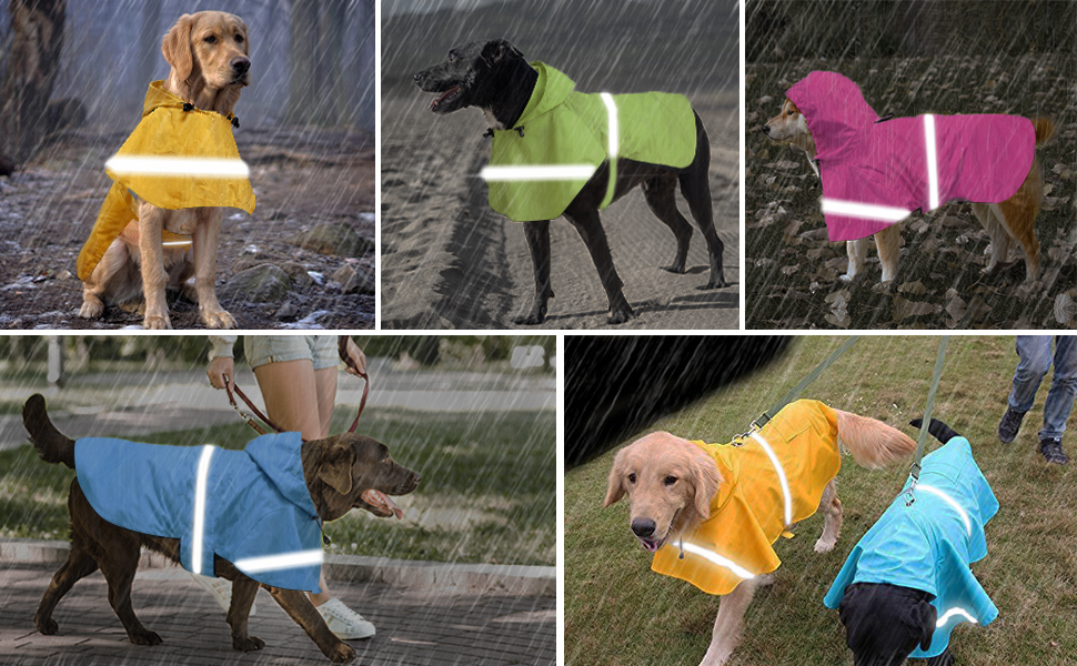 Дощовик для собак, дощовий плащ для собак з капюшоном, підходить для шлейки, легкий та світловідбиваючий, для середніх та великих собак (Помаранчевий XL)