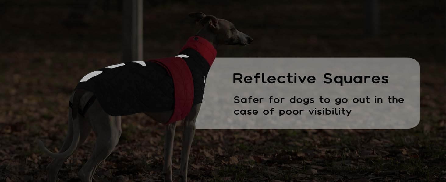 Зимовий теплий дощовик для собак Віндхунд (Whippet) - червоний, з відбиваючими смугами