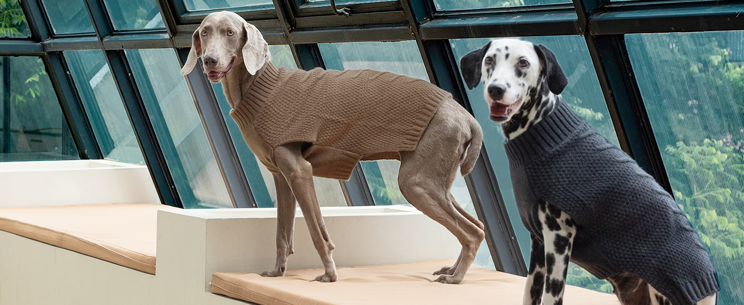 Пуловер для собак IECOii Great Dane, XXXXL, великі породи, теплий зимовий пуловер для собак, зелений, 5XL XXXXX-Large Armygreen