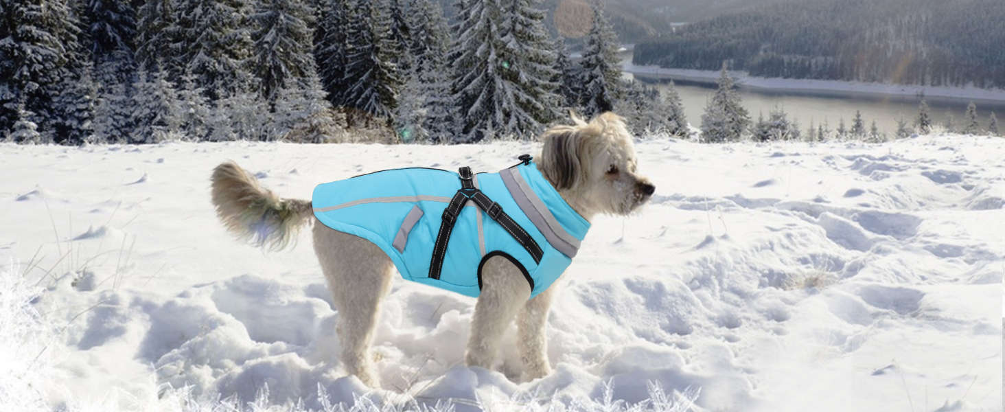 Теплий зимовий одяг для собак FeimaX: флісова куртка з блискавкою, захист від вітру та вологи, для маленьких та середніх собак (Блакитний, L)