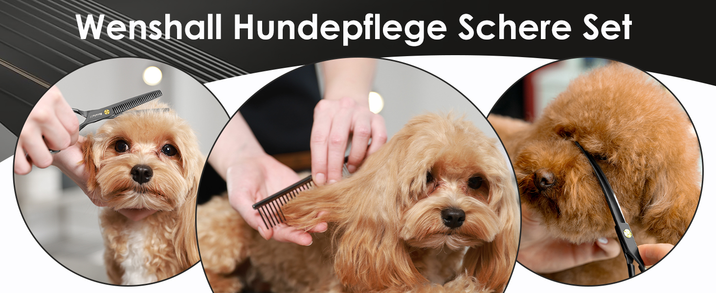 Набір професійних ножиць для грумінгу собак Wenshall 7.0 дюймів (5 шт.)
