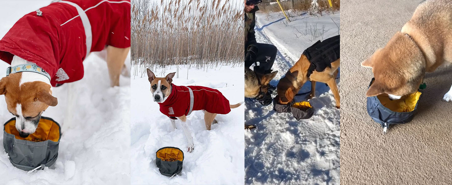 Набір мисок для собак LumoLeaf (2 шт.): 2L та 2.4L, портативні, складні, для подорожей, оранжевий + жовтий
