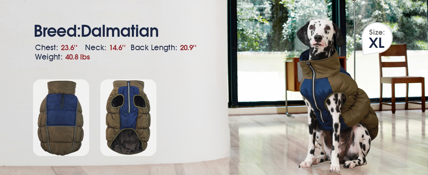 Зимові куртки та зимові пальта для собак IECOii, тепла зимова куртка для собак, пальта для собак, зимові пальта для собак, куртка-жилет для собак, теплий зимовий одяг для собак, водонепроникні куртки для собак, зелений колір, розмір M (обхват грудей: 53 см), армійсько-зелений