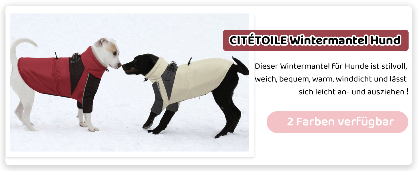 Зимовий одяг для собак, водонепроникний та вітронепроникний з отвором для повідка, для малих, середніх та великих собак, світловідбиваюча куртка з захистом живота, бежевий